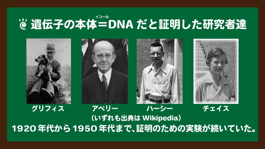 スライド１：遺伝子の本体＝DNAだと証明した研究者たち