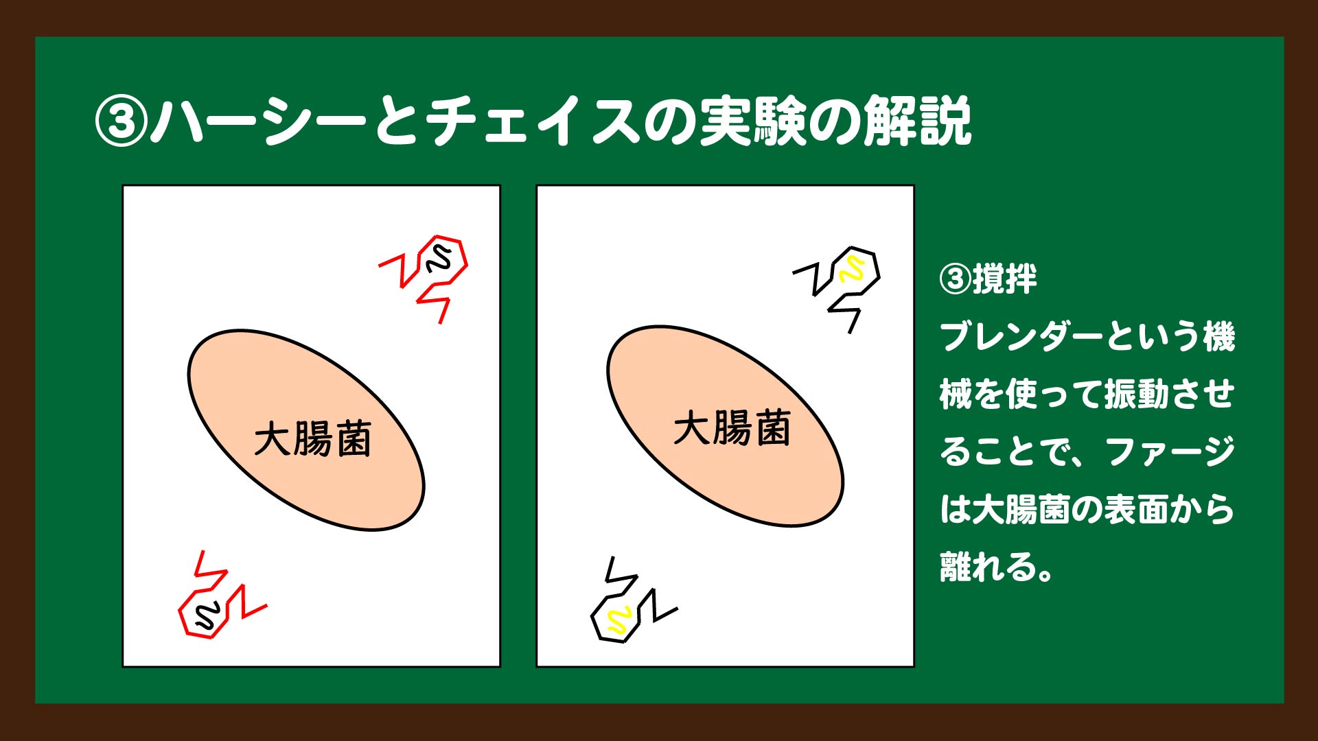 スライド10