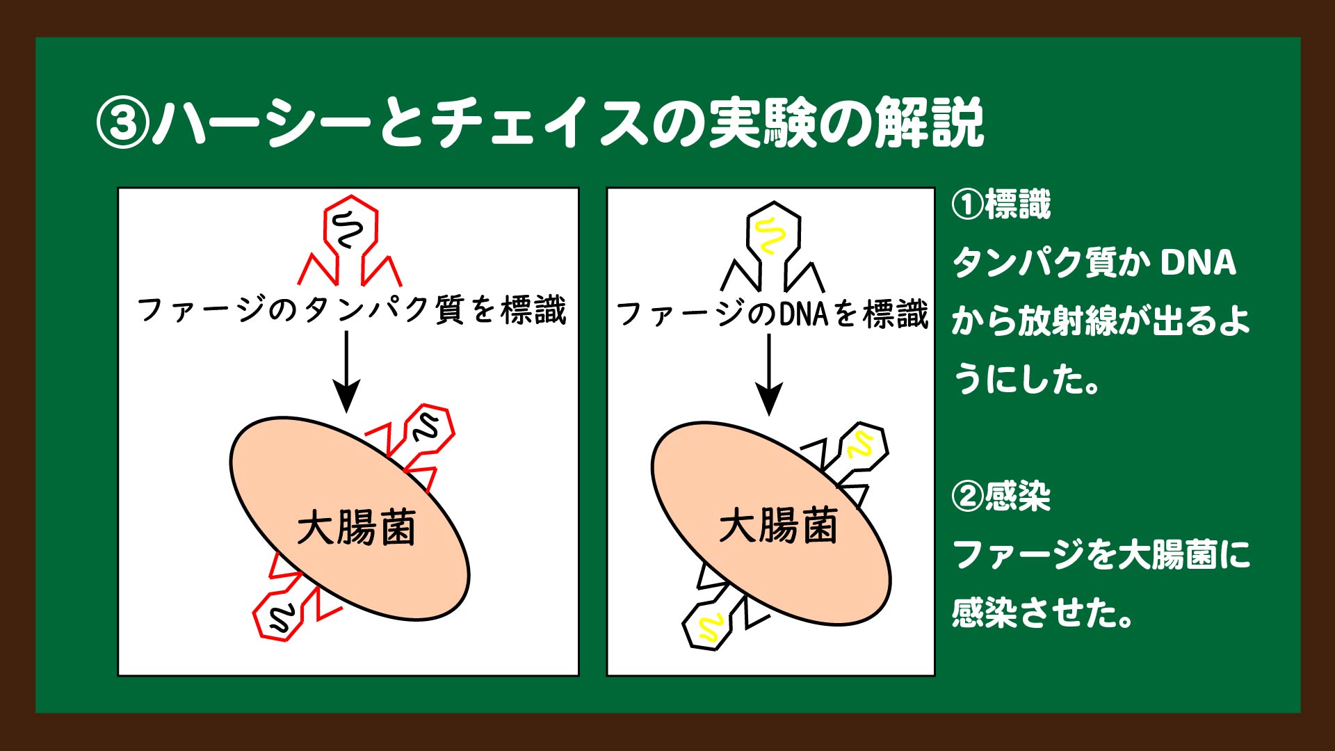 スライド9