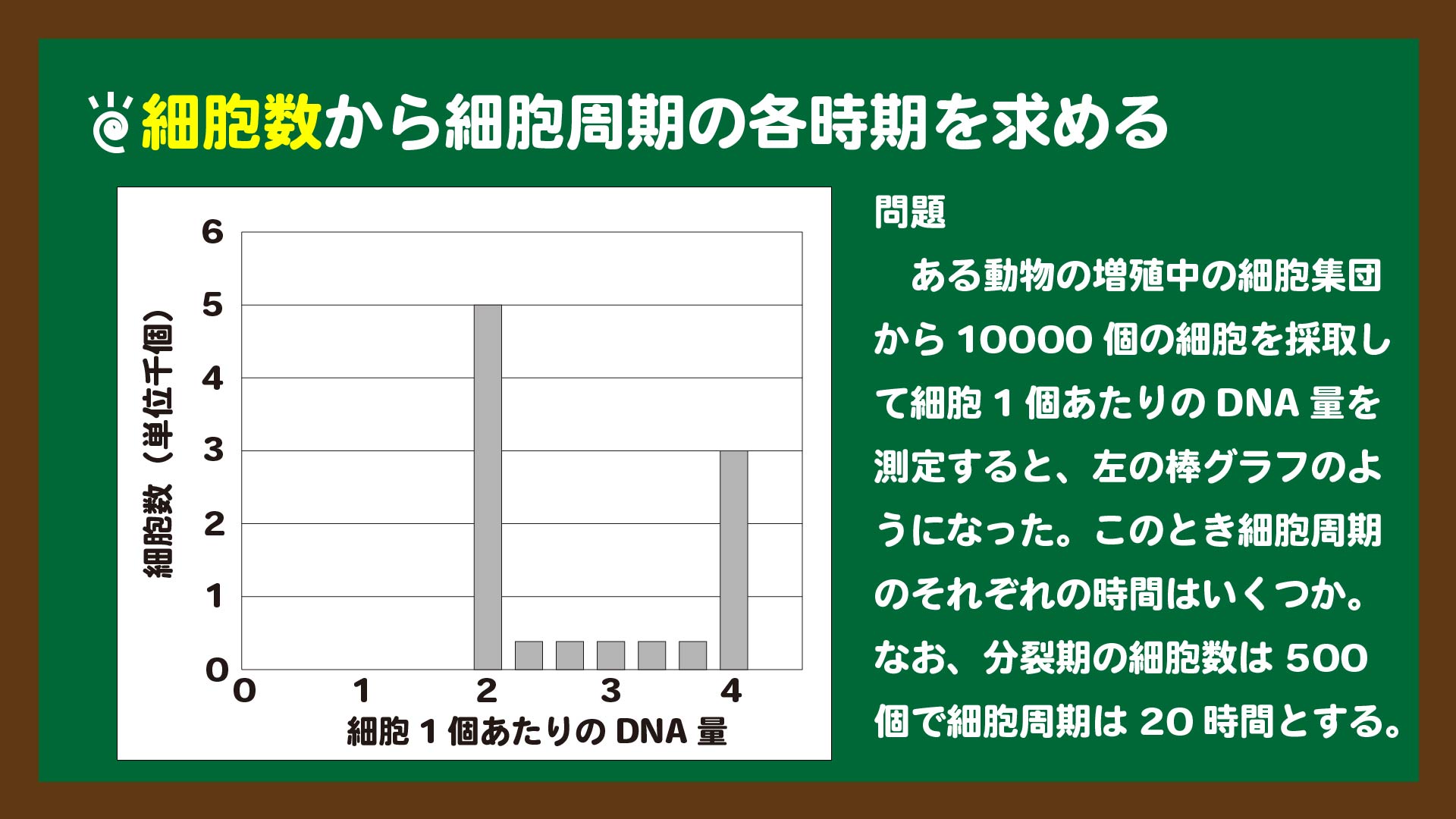 スライド8:細胞数から細胞周期の各時期を求める問題