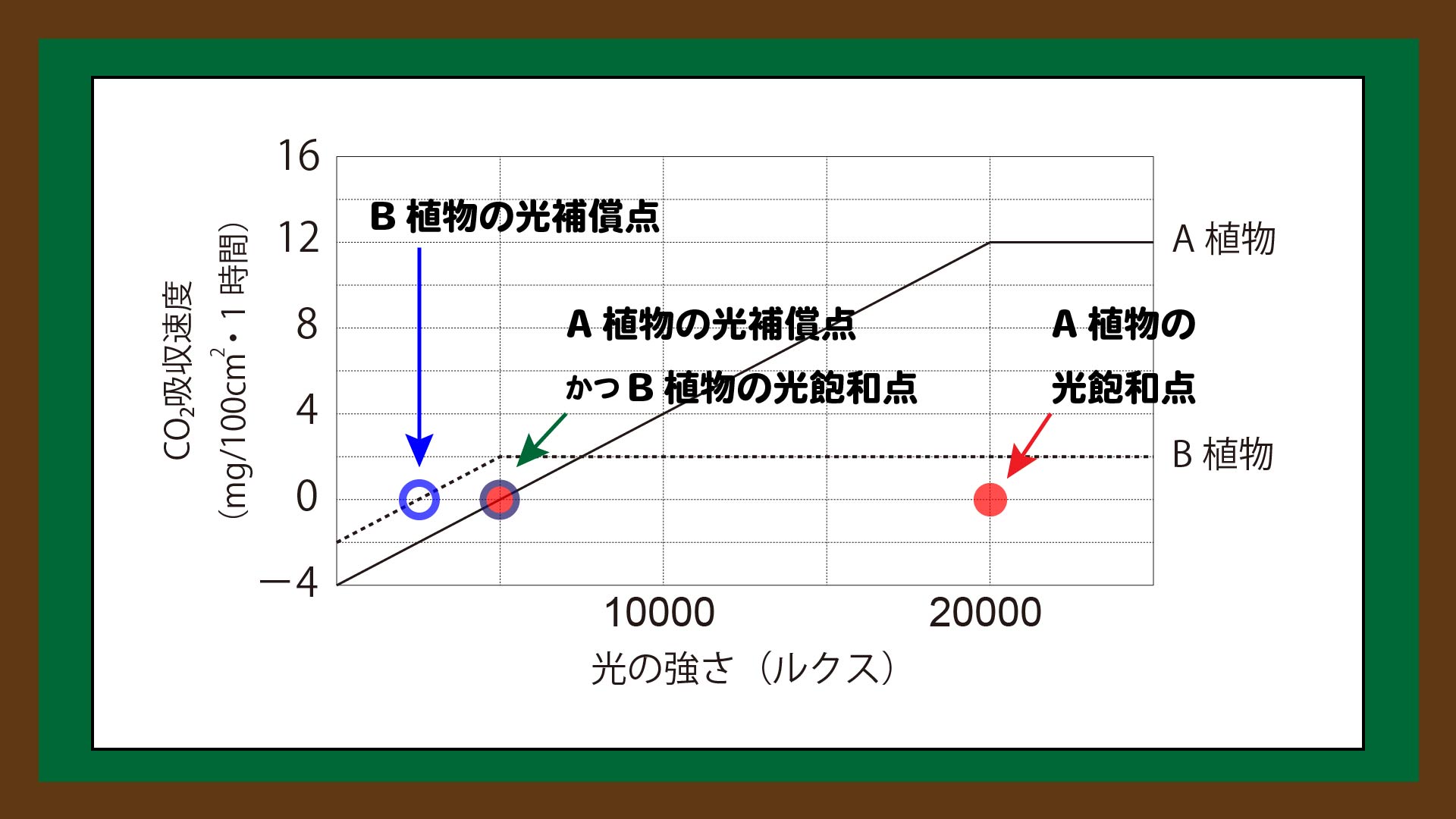 図.光補償点と光飽和点の読み取り