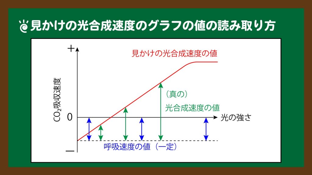 図．見かけの光合成速度のグラフの値の読み取り方