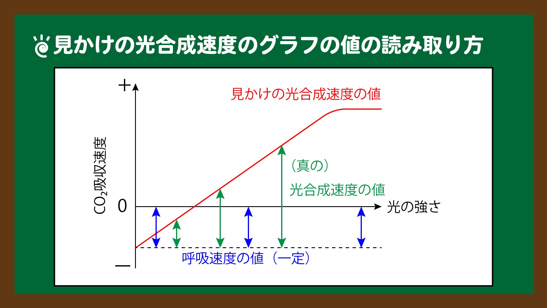 図.見かけの光合成速度のグラフの値の読み取り方