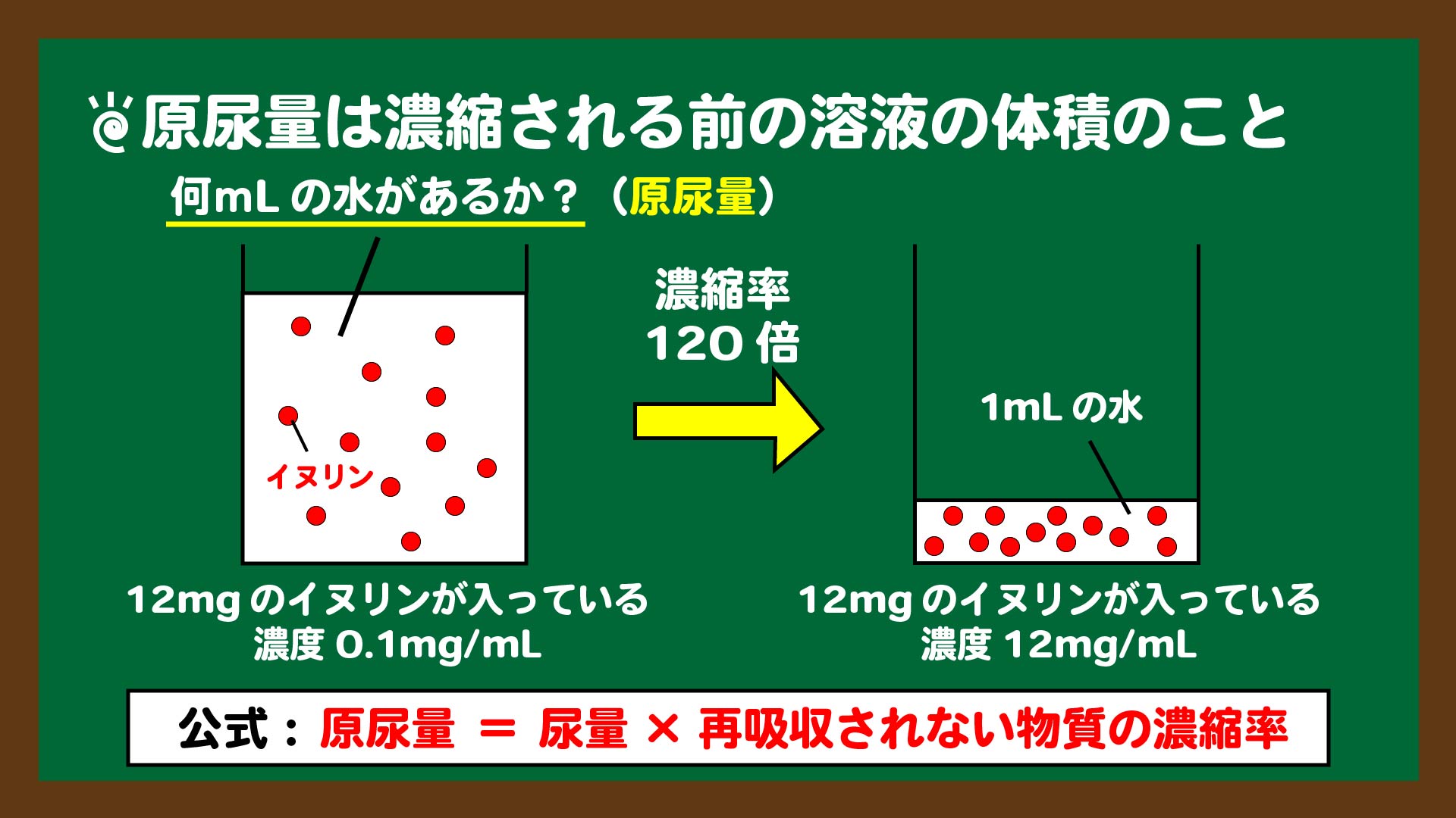 スライド3:原尿量とは何を指すのか?