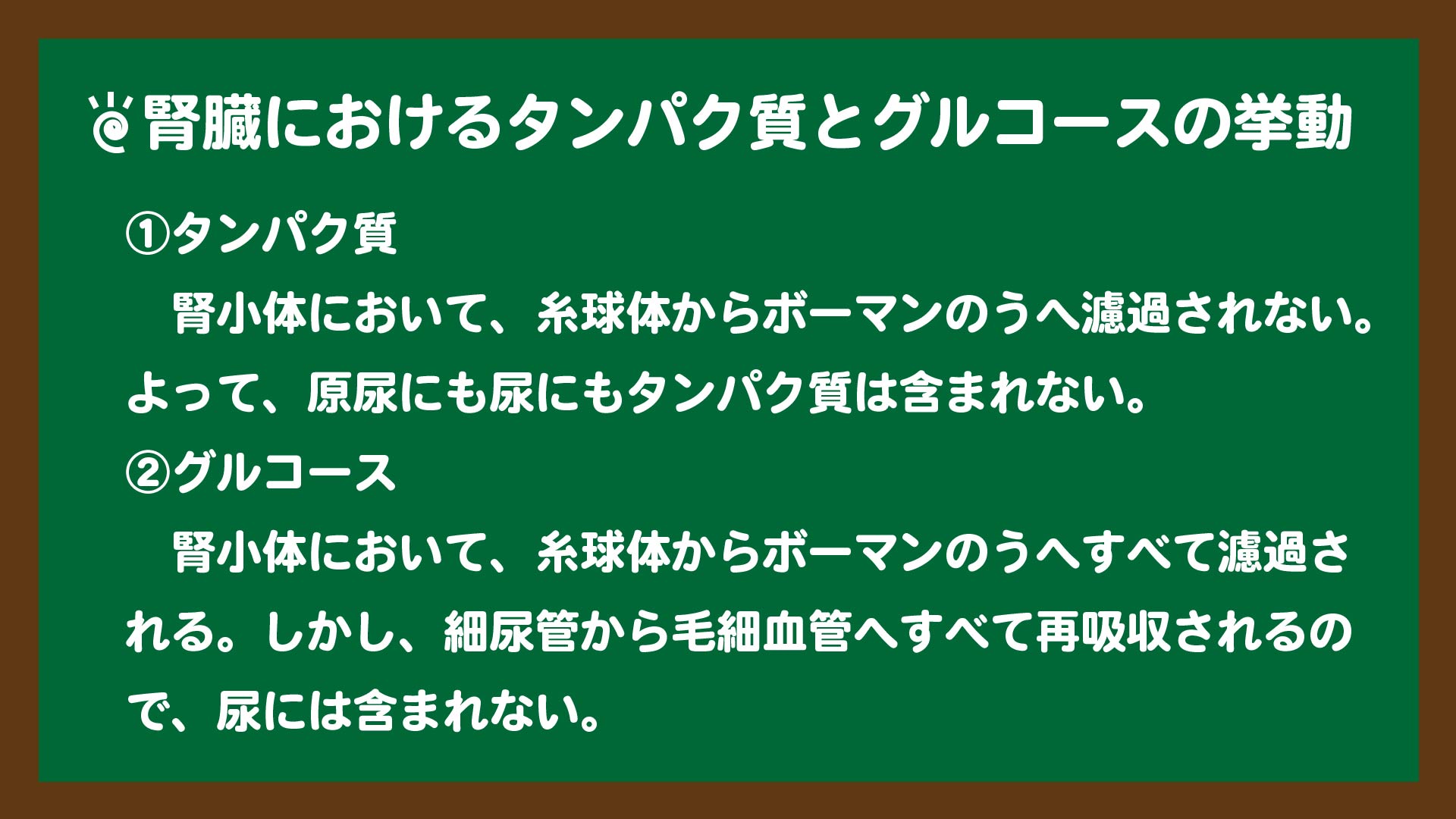 スライド6:腎臓におけるタンパク質とグルコースの挙動のまとめ
