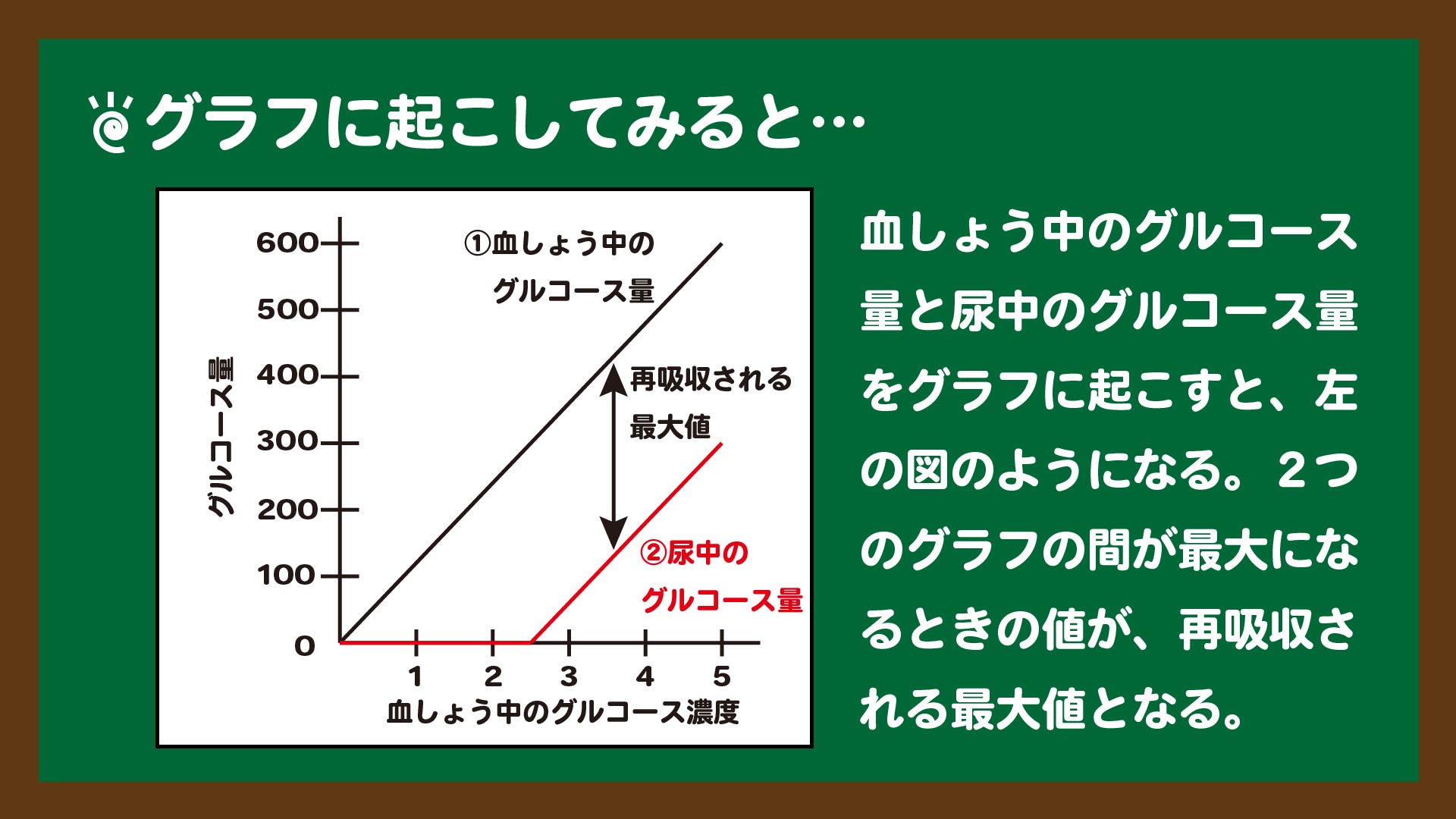 スライド9:再吸収されるグルコース量はグラフではこうなる