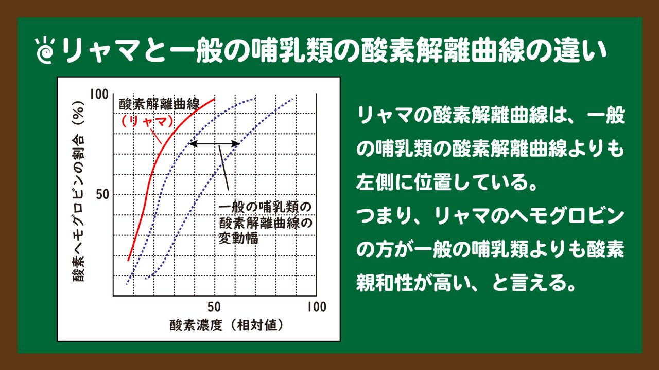 リャマと一般の哺乳類の酸素解離曲線の違い