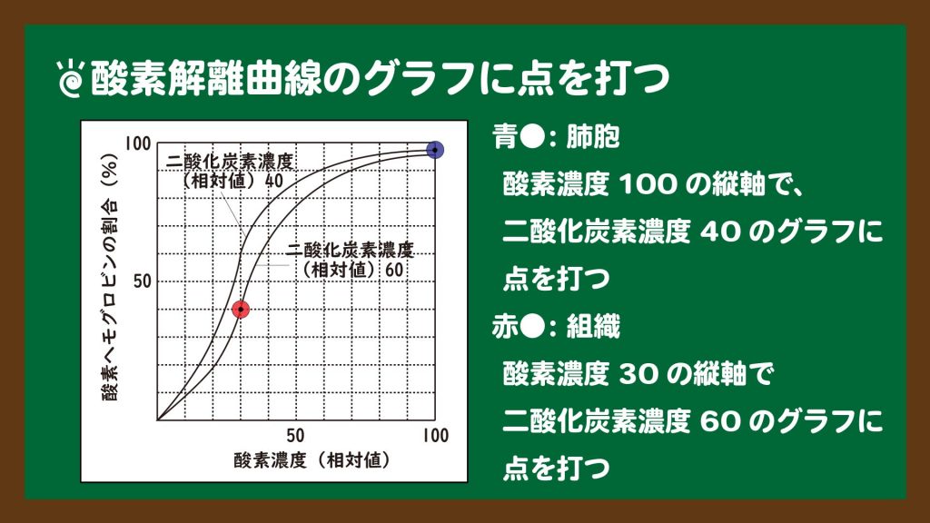 スライド２：酸素解離曲線のグラフの読み取り方