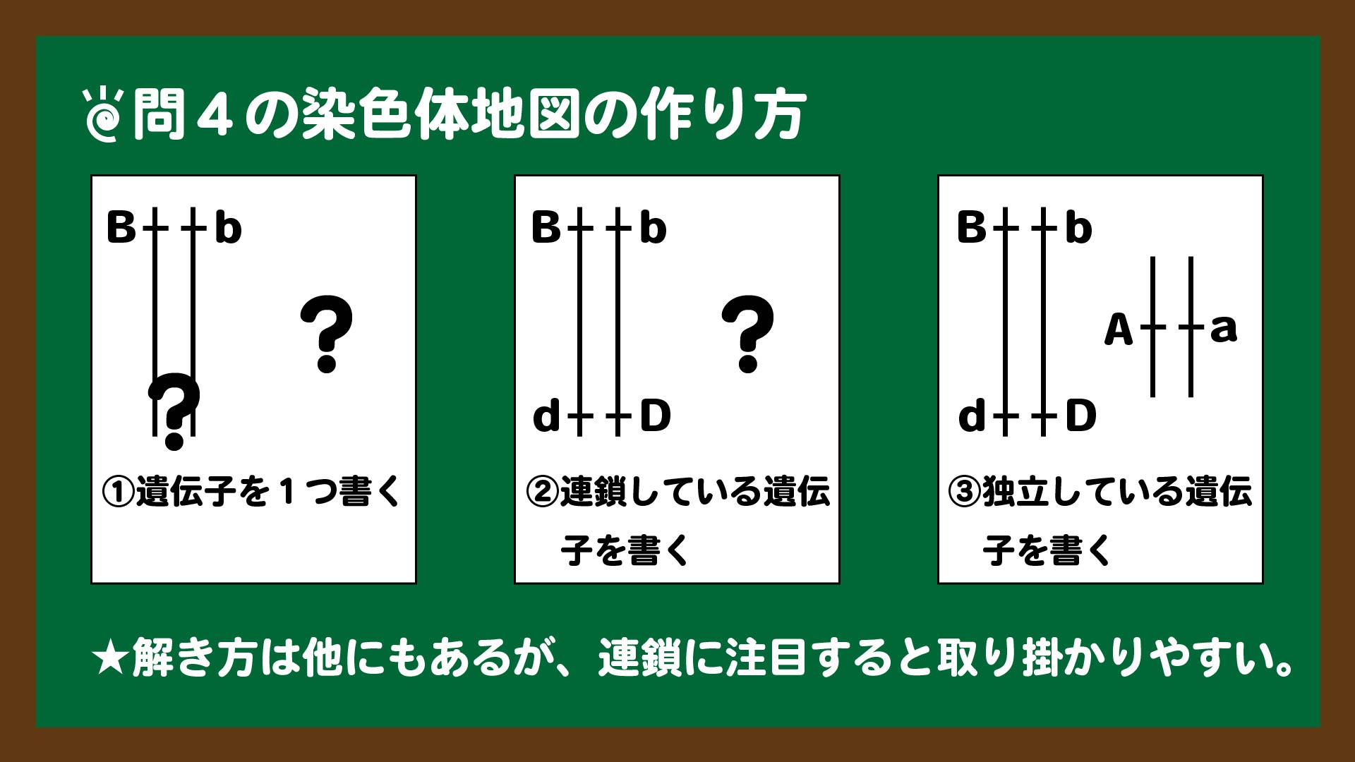 スライド9:問4の染色体地図の作り方