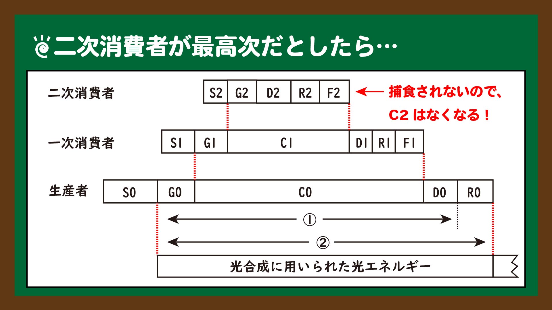 スライド6:二次消費者を最高次として考えてみると・・・