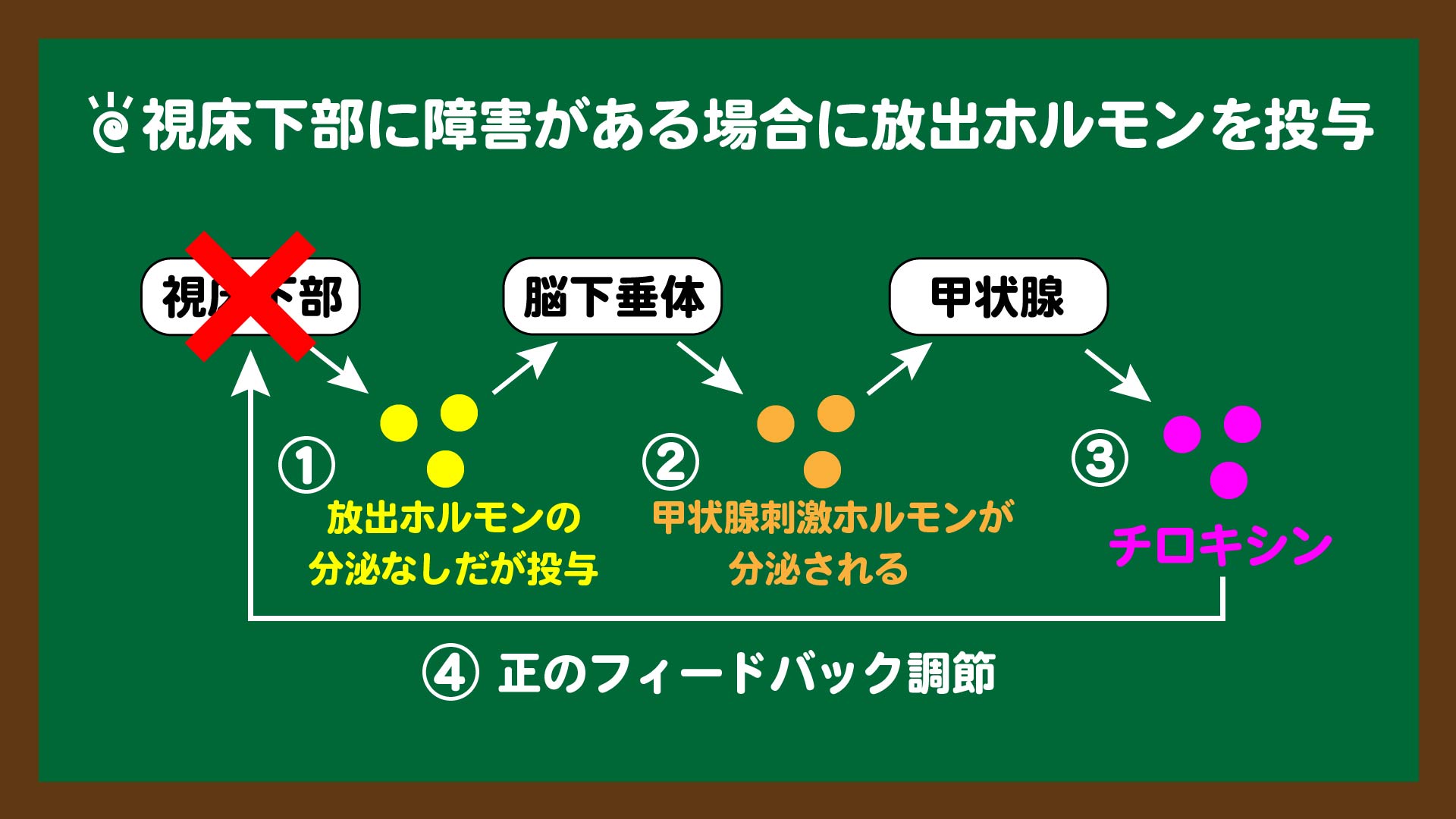 スライド13:視床下部に障害がある場合に放出ホルモンを投与