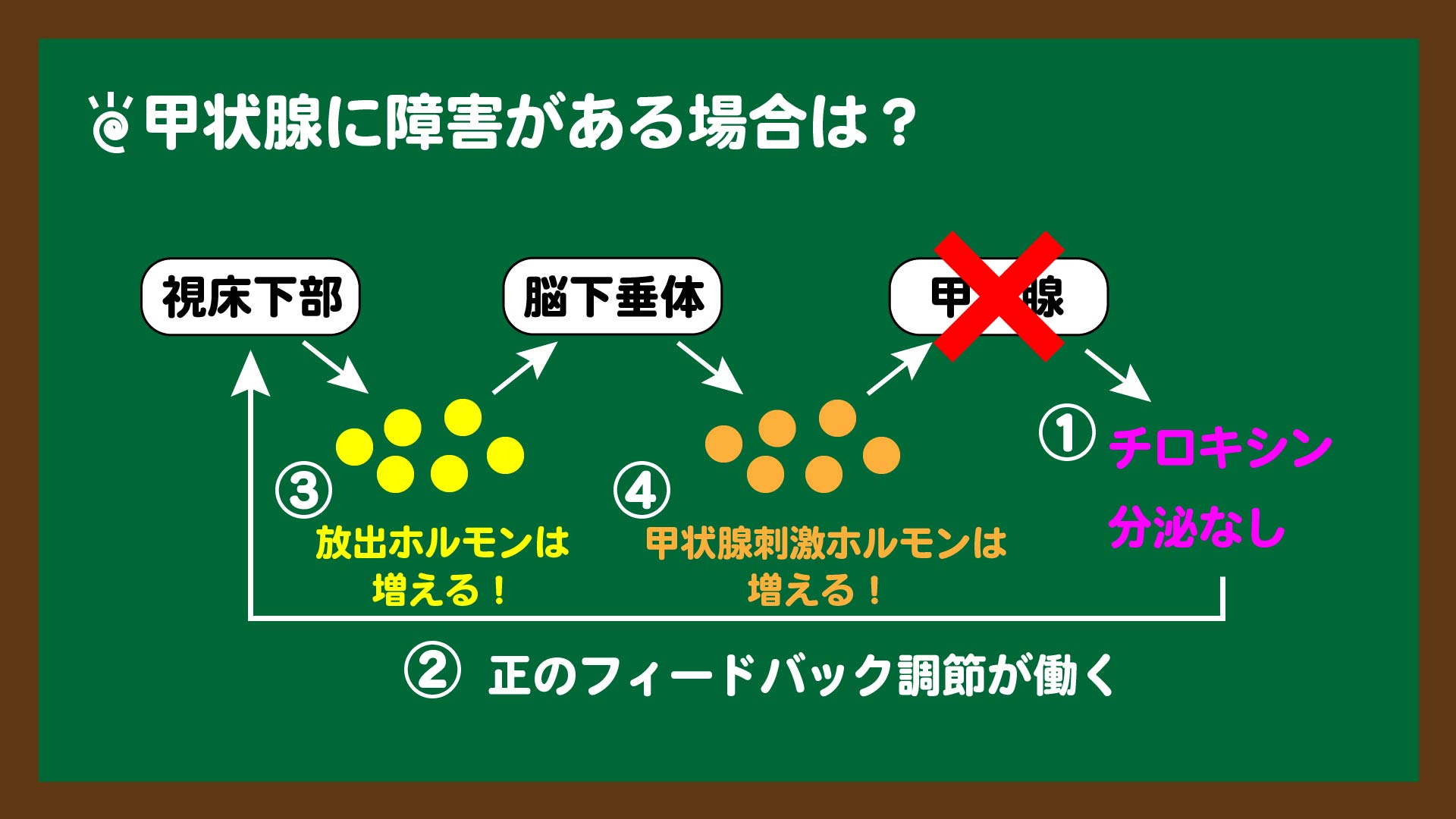 スライド9:甲状腺に障害がある場合のホルモン調節