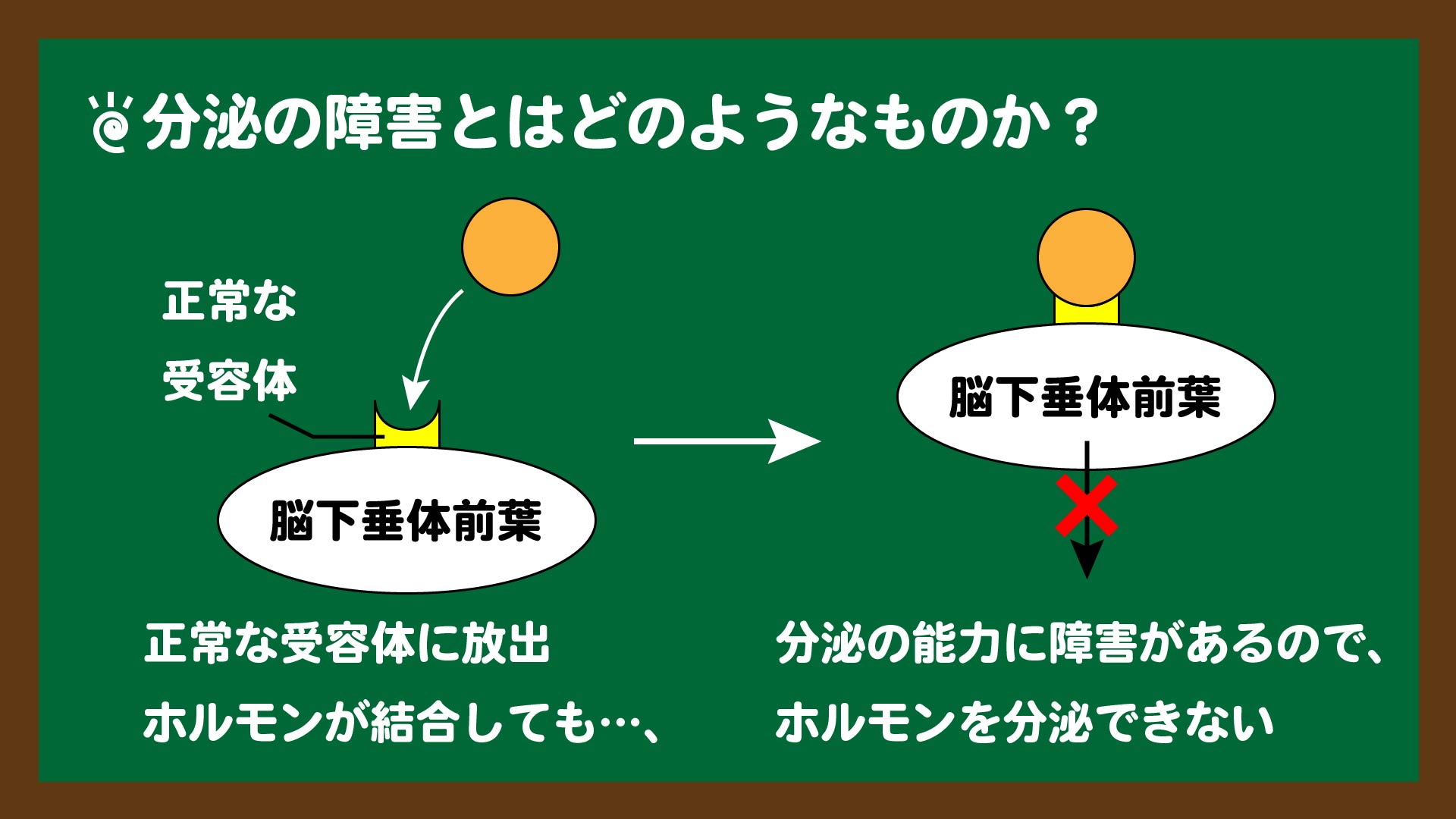 スライド6:分泌の能力に異常があると、ホルモンは分泌できない
