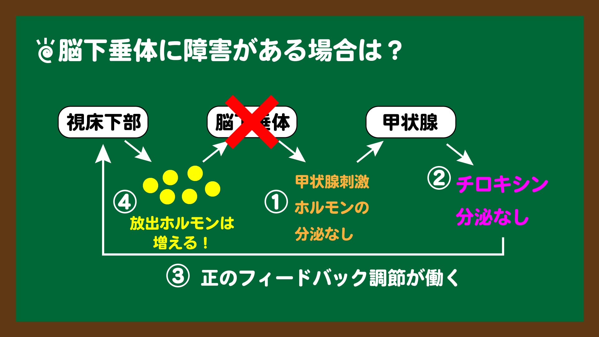 スライド10:脳下垂体に障害がある場合のホルモン調節