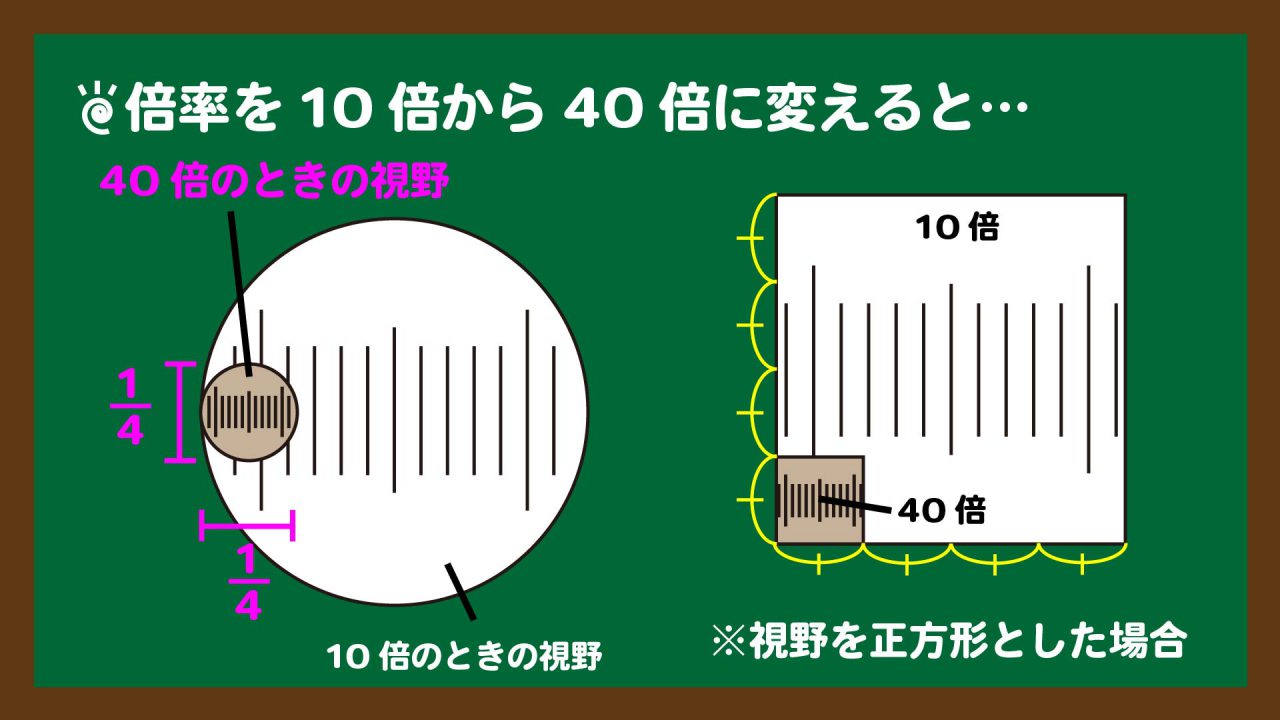 スライド5:倍率を10倍から40倍に変えたときの視野の広さ