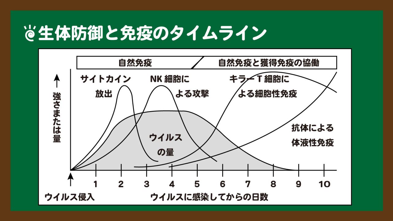 スライド1:生体防御と免疫のタイムライン