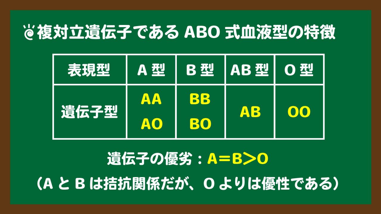 「高校生物基礎・生物」ABO式血液型の遺伝と凝集反応の問題の解き方｜高校生物の学び舎