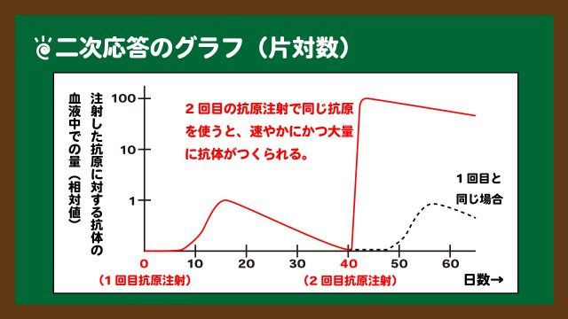 スライド14：二次応答のグラフ
