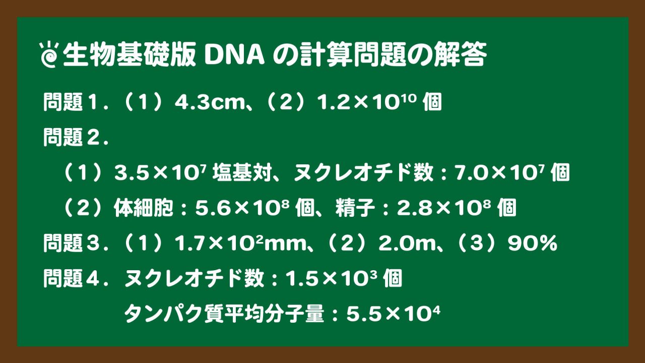 スライド2:生物基礎版DNAの計算問題の解答
