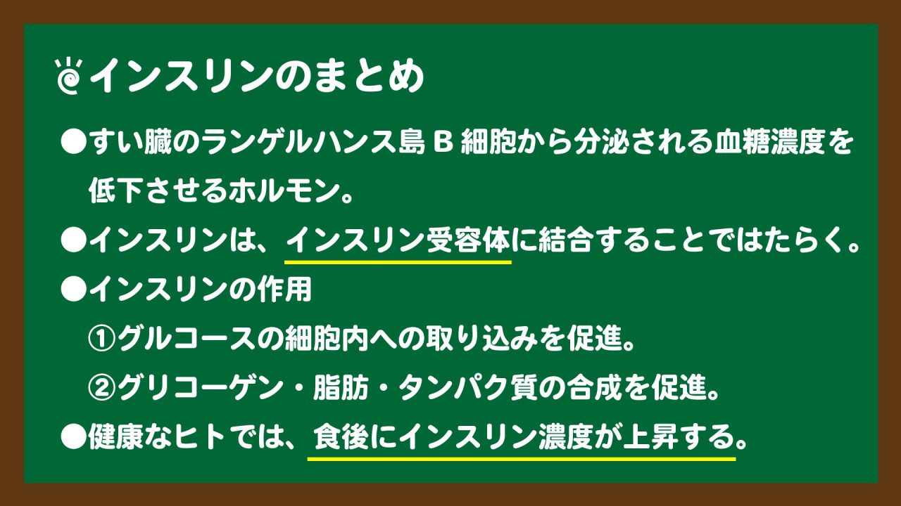 スライド2:インスリンのまとめ