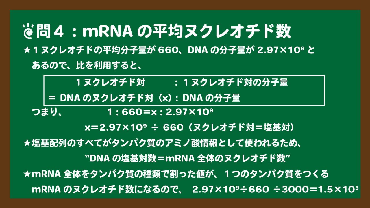スライド16:mRNAの平均ヌクレオチド数の求め方