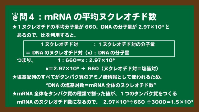 スライド16：mRNAの平均ヌクレオチド数の求め方