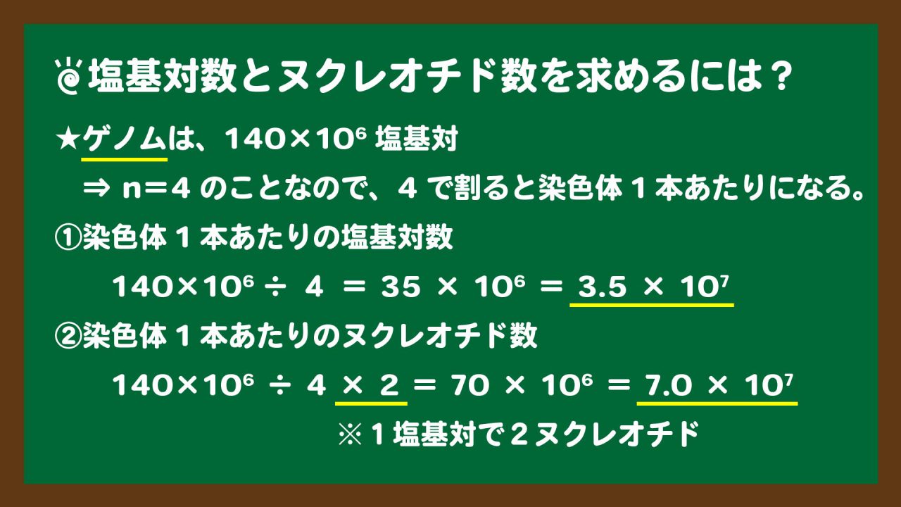 スライド7:ゲノムと核相から塩基対数とヌクレオチド数を求める方法