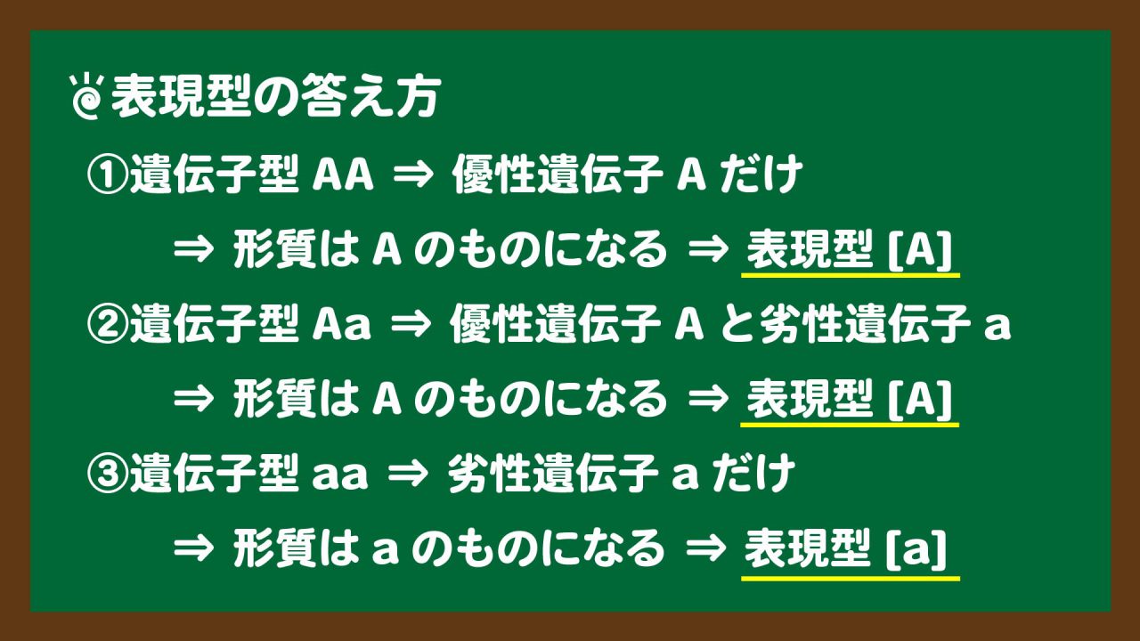 スライド6:表現型の答え方