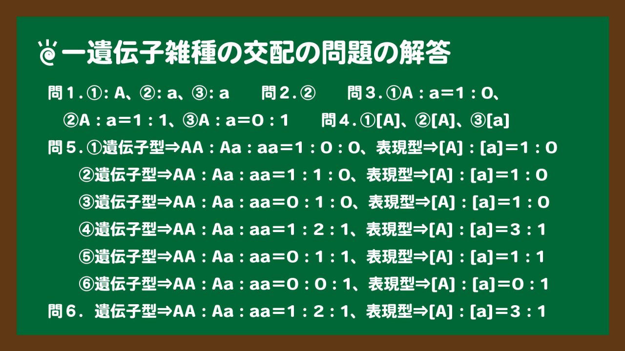 スライド2:一遺伝子雑種の交配の問題の解答