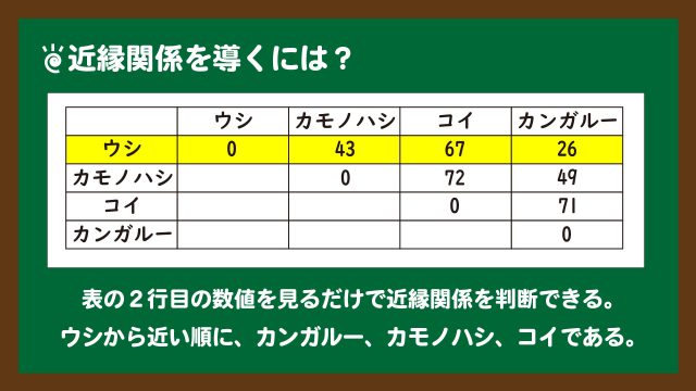 スライド5:近縁関係を導くためには、異なるアミノ酸数を見る