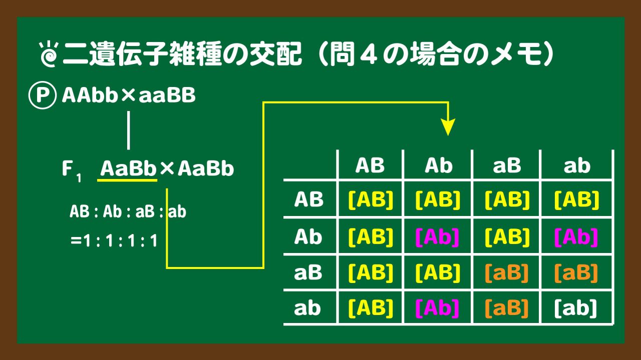 スライド8:二遺伝子雑種の交配を解くときのメモ量