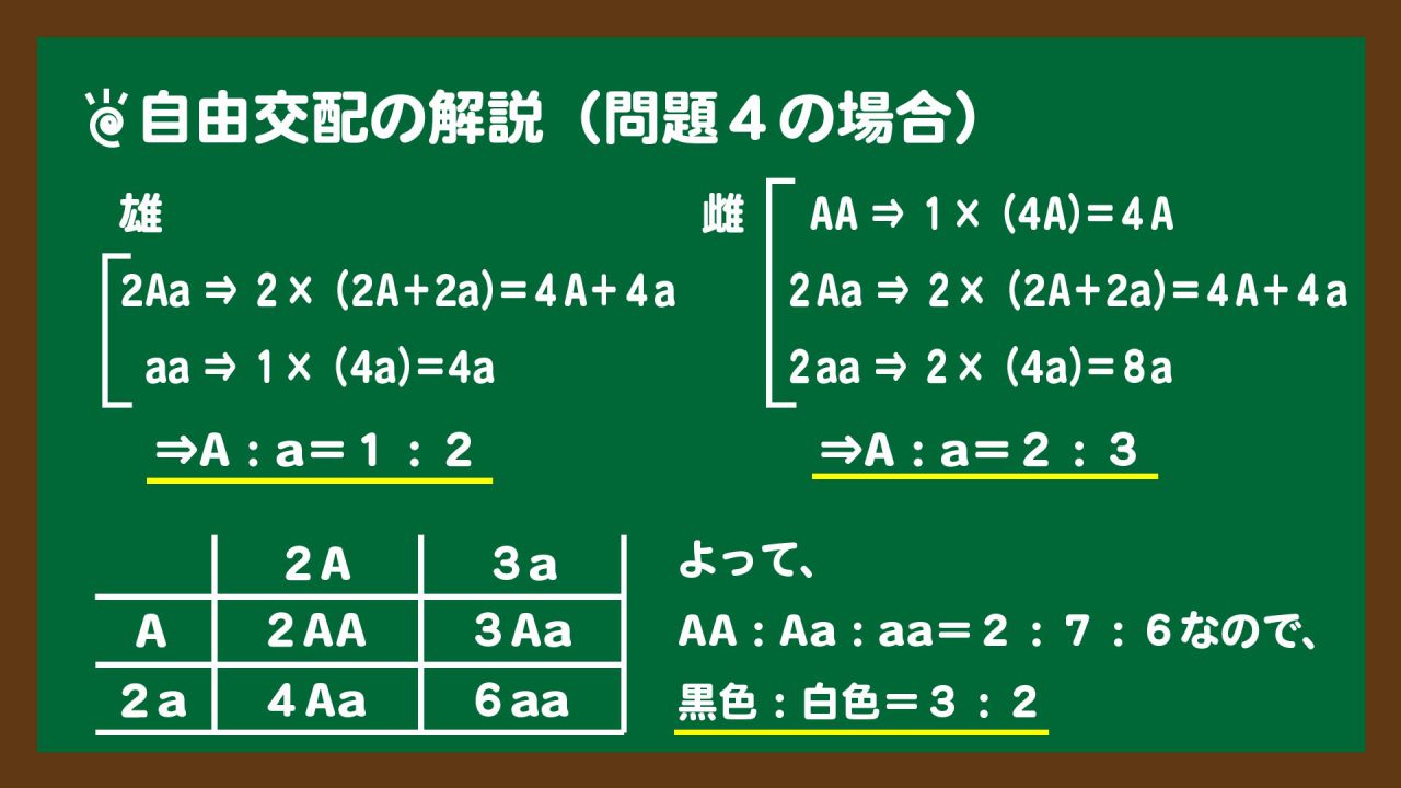 スライド7:自由交配の解説(問題4の場合)