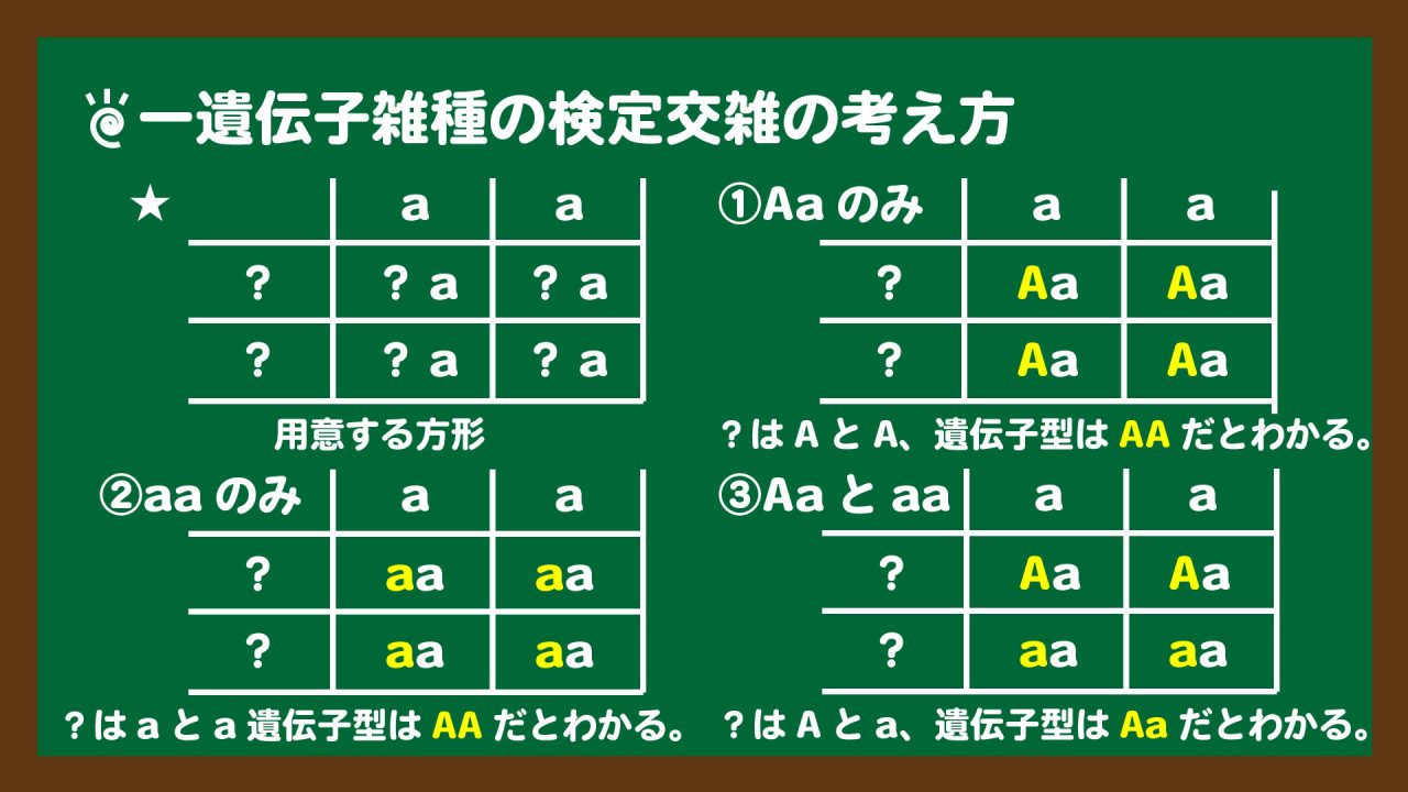 スライド3:一遺伝子雑種の検定交雑の考え方