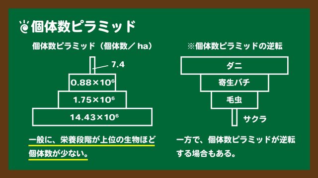 スライド3:個体数ピラミッドの図