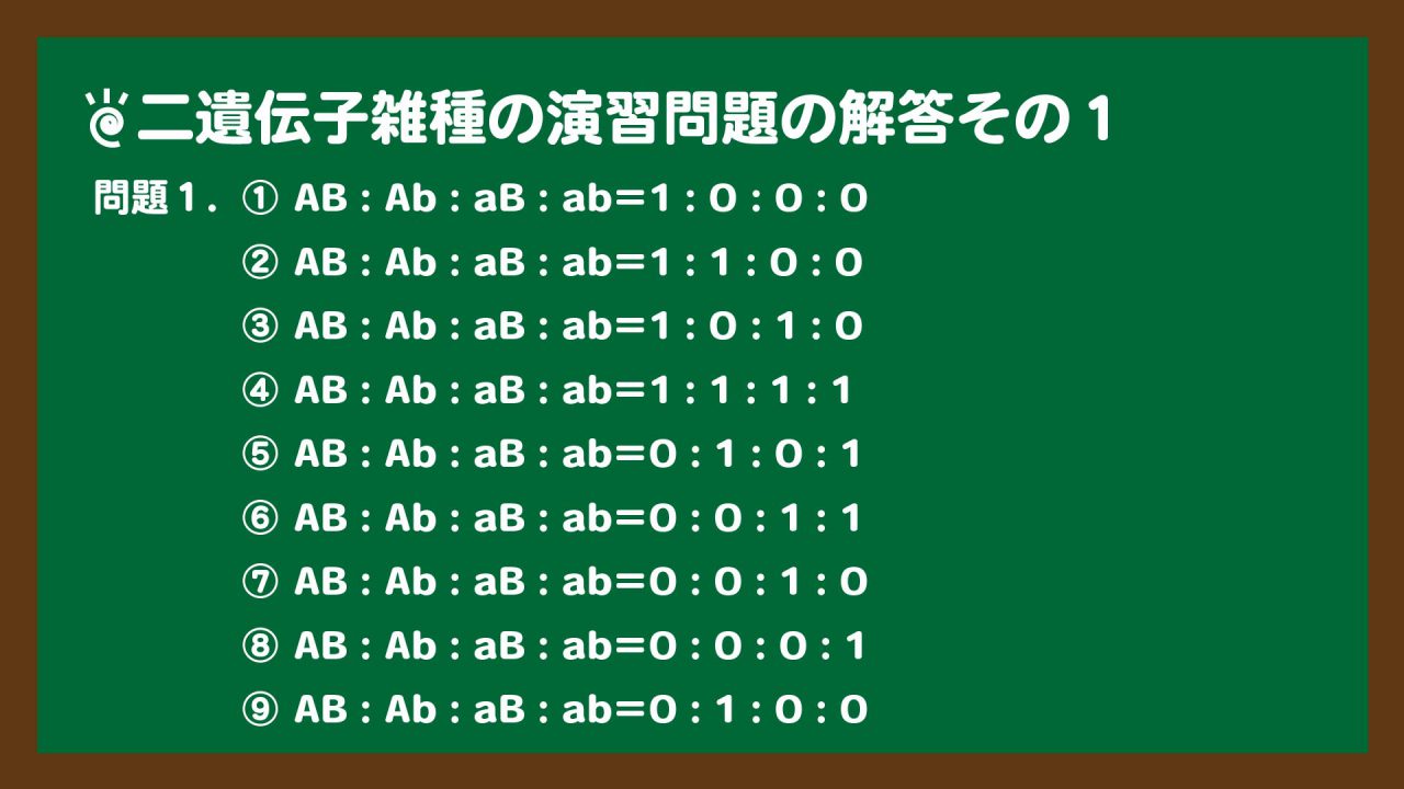 スライド2:二遺伝子雑種の演習問題の解答その1
