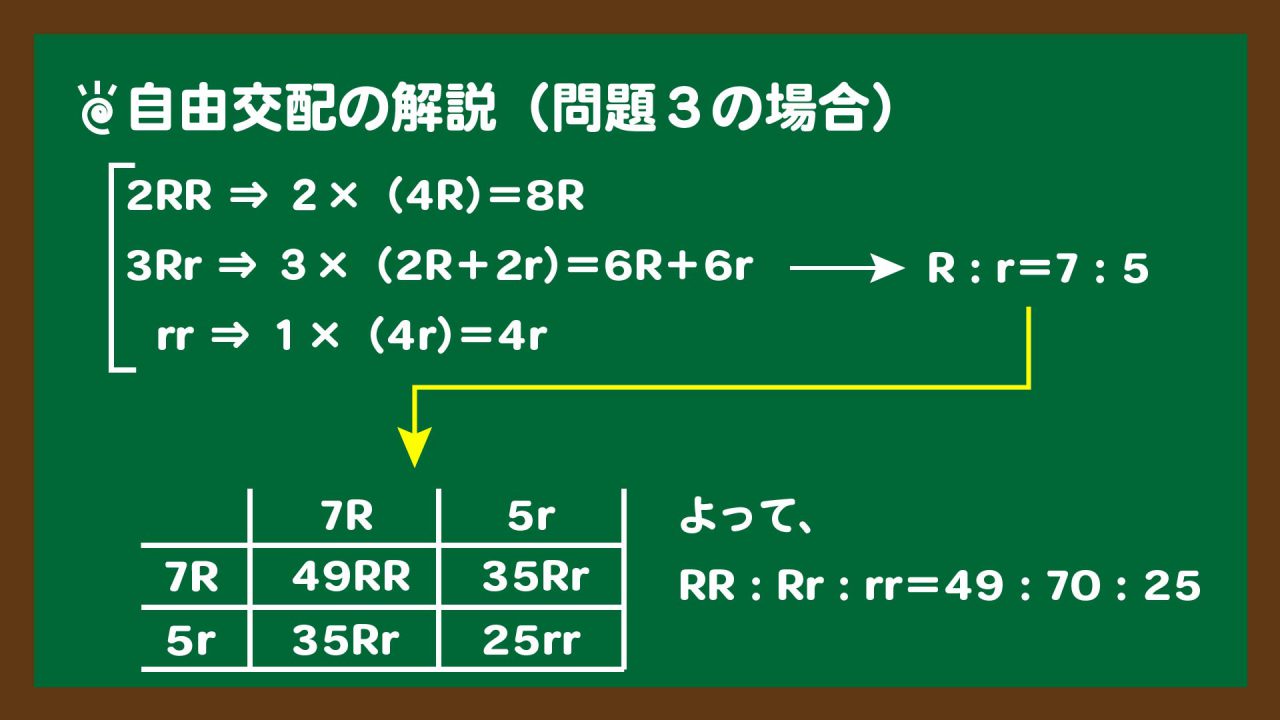 スライド6:自由交配の解説(問題3の場合)