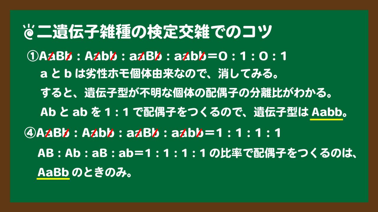 スライド9:二遺伝子雑種の検定交雑でのコツ