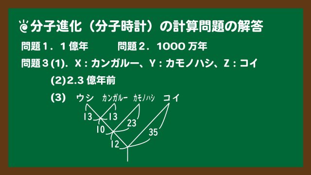スライド2:分子進化(分子時計)の計算問題の解答