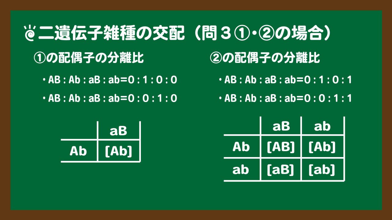 スライド7:二遺伝子雑種の交配|省略できるときは省略してもよい