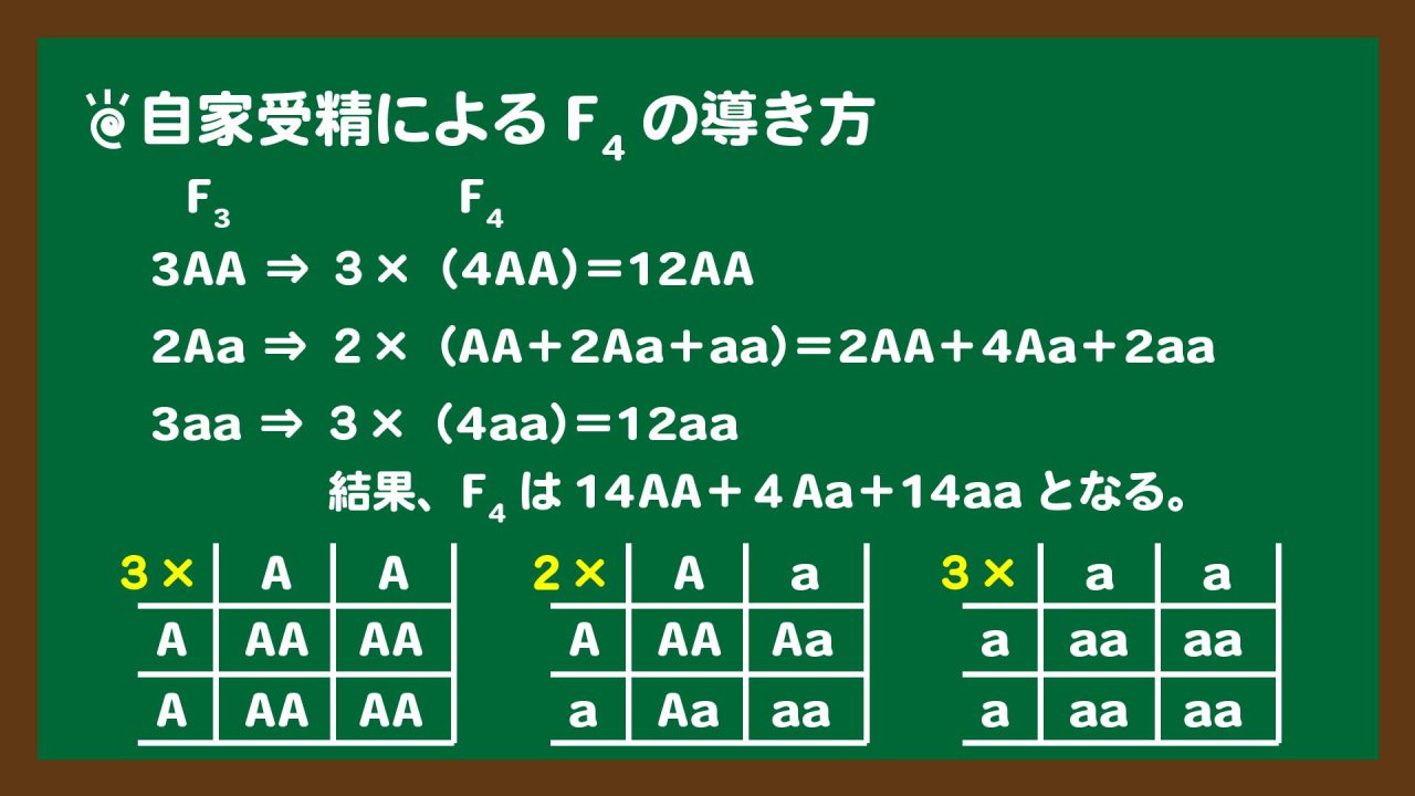 スライド5:自家受精によるF4の導き方