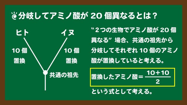 スライド3:2つの生物におけるアミノ酸置換数の考え方