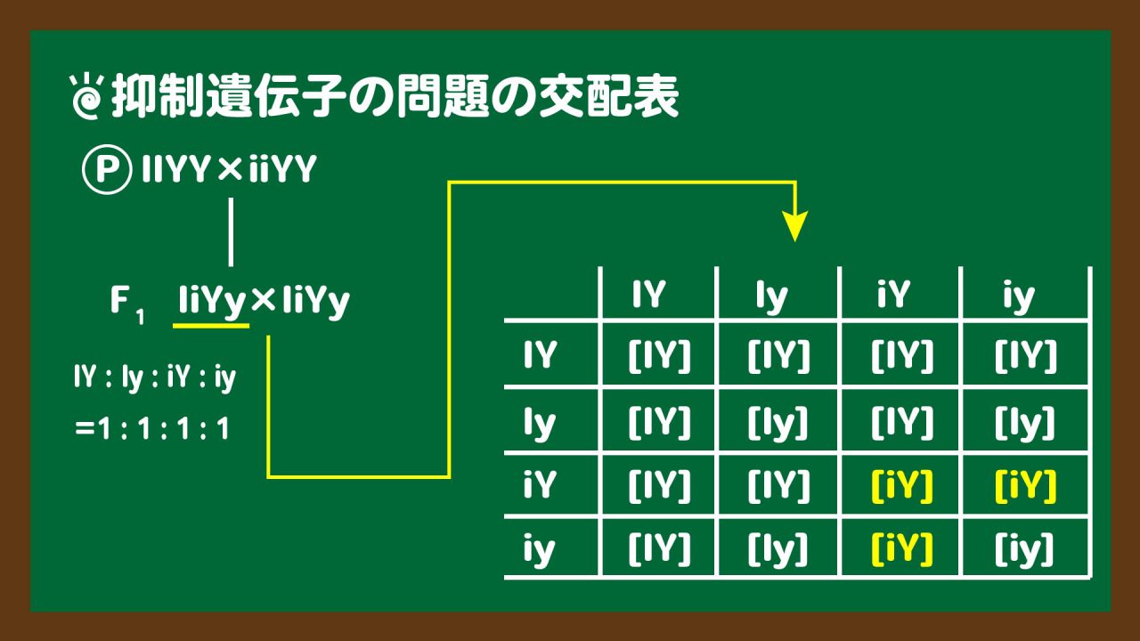 スライド3:抑制遺伝子の問題の交配表