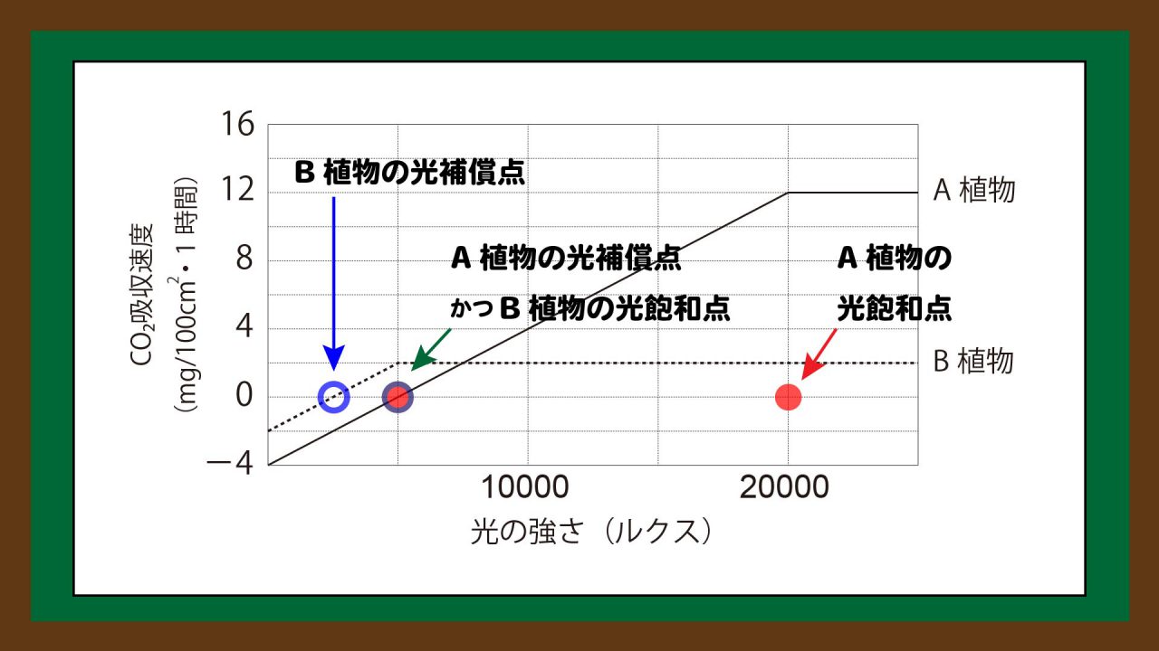 スライド4:光補償点と光飽和点の読み取り方(生物版の記事を引用)