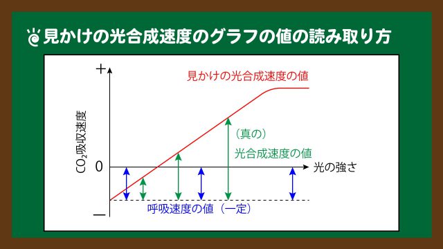 スライド３：見かけの光合成速度のグラフの値の読み取り方