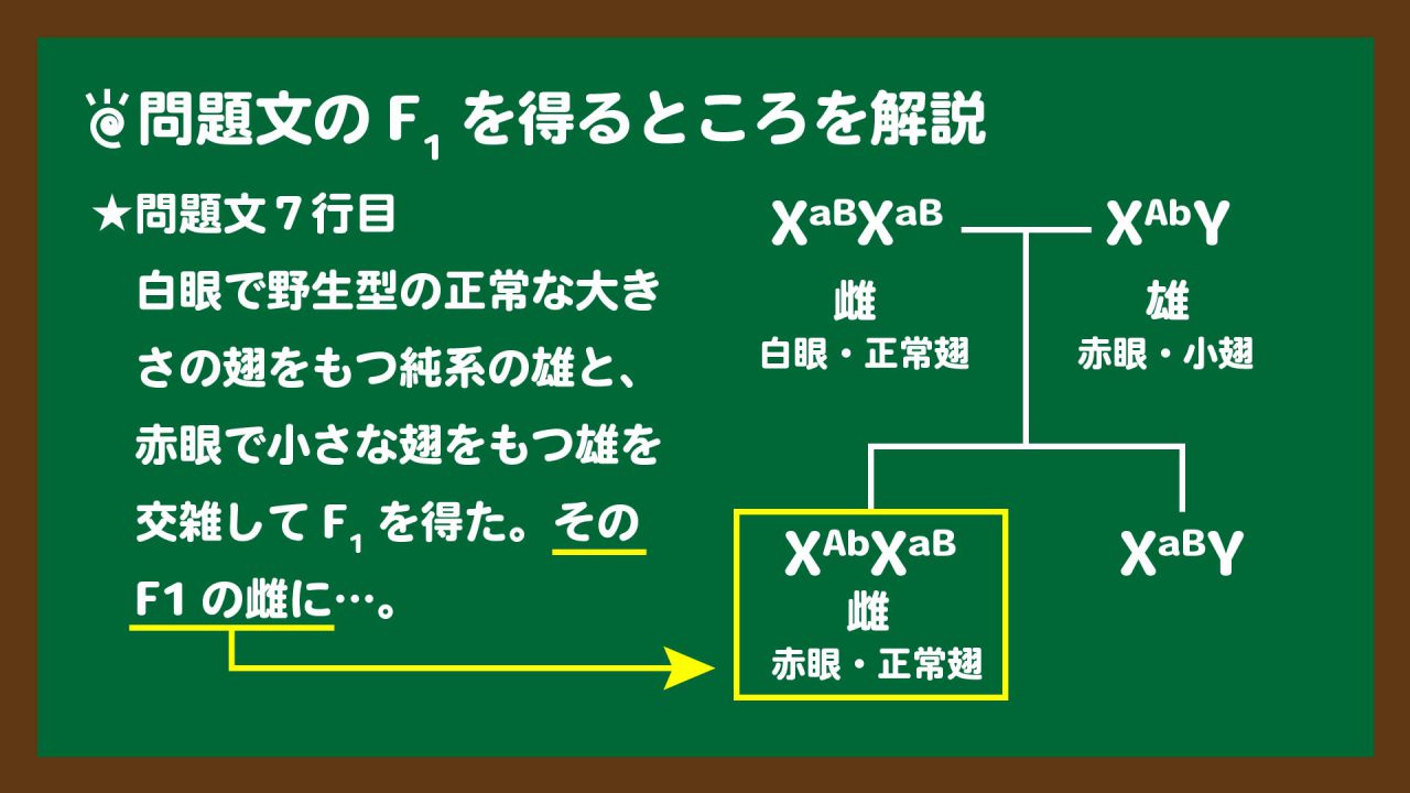スライド2:問題文7行目のF1を得るところを図説