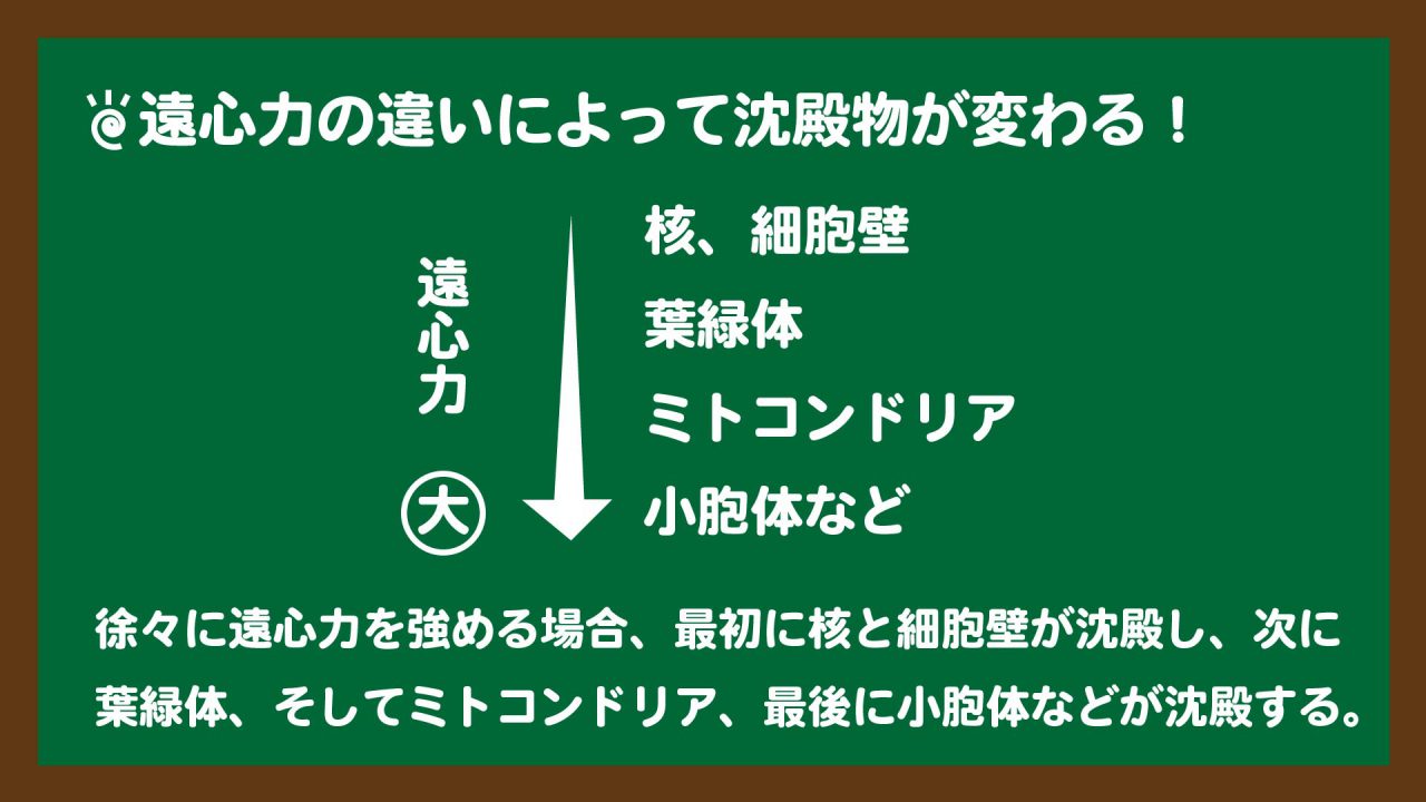 スライド3:遠心力の強さによって沈殿物が変わる