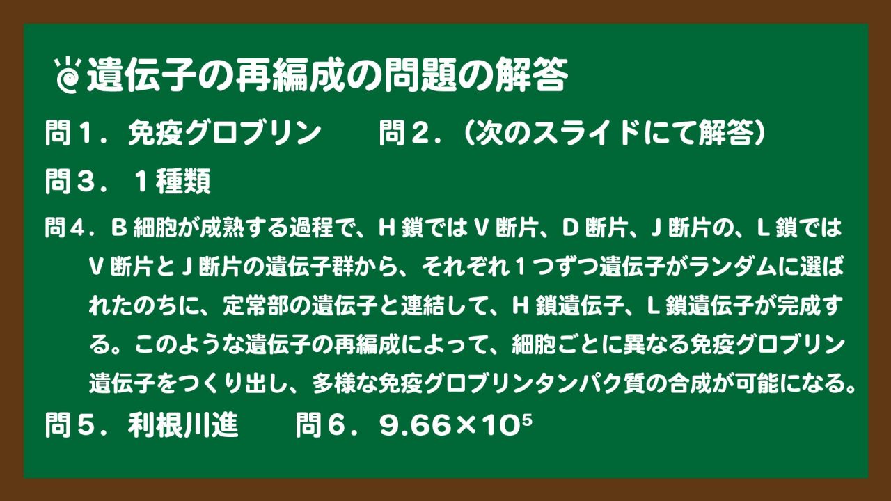 スライド2:遺伝子の再編成の問題の解答(図以外)