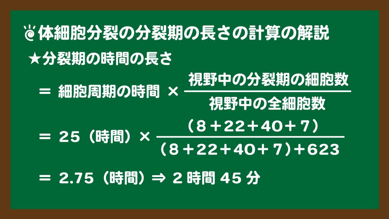 スライド11:体細胞分裂の分裂期の長さの解散問題の解き方