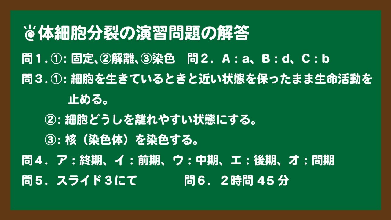 スライド2:体細胞分裂の演習問題の解答①