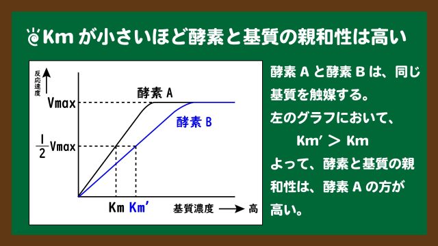スライド4:Kmが小さいほど、酵素と基質の親和性は高い